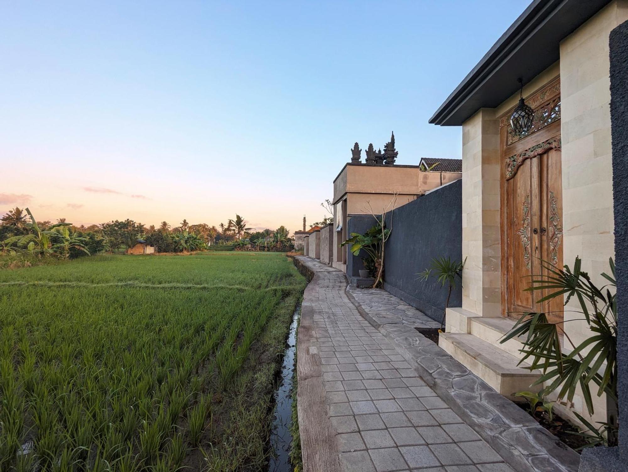 Villa Na-Na Ubud Экстерьер фото